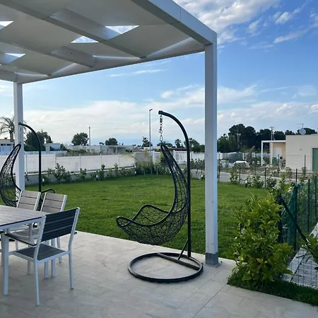 Dionysus Luxury *